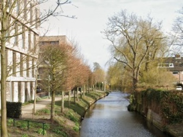 Afbeelding van pilarensloot met bomen langs de kant